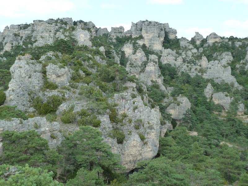 ../Images/2012-07-10-15h45m46 .jpg